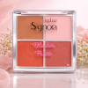 BLUSHER PALETTE  (REF: 03)