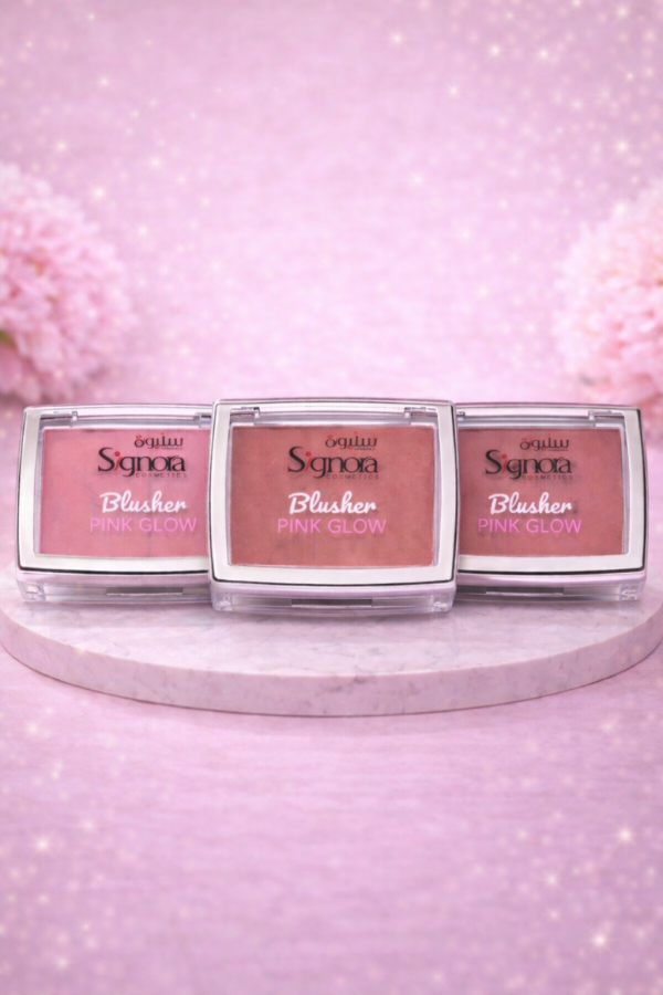 BLUSHER POWDER