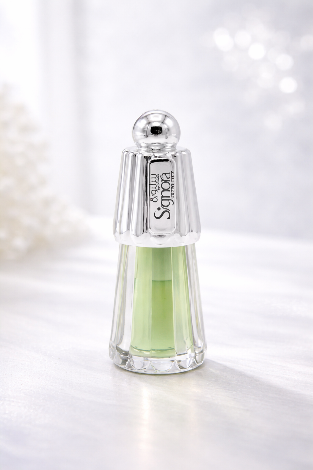 MASHROOM LIP OIL (REF: 05)